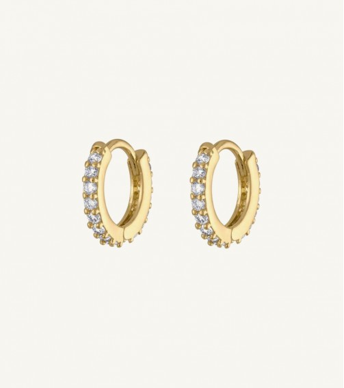 Solid Gold Medium Hoop Earrings